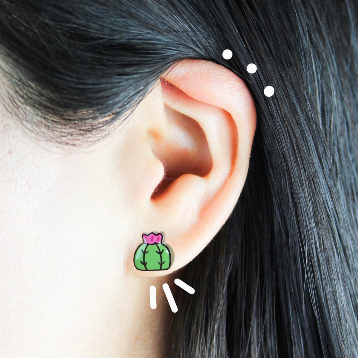 Aretes | Cactáceas