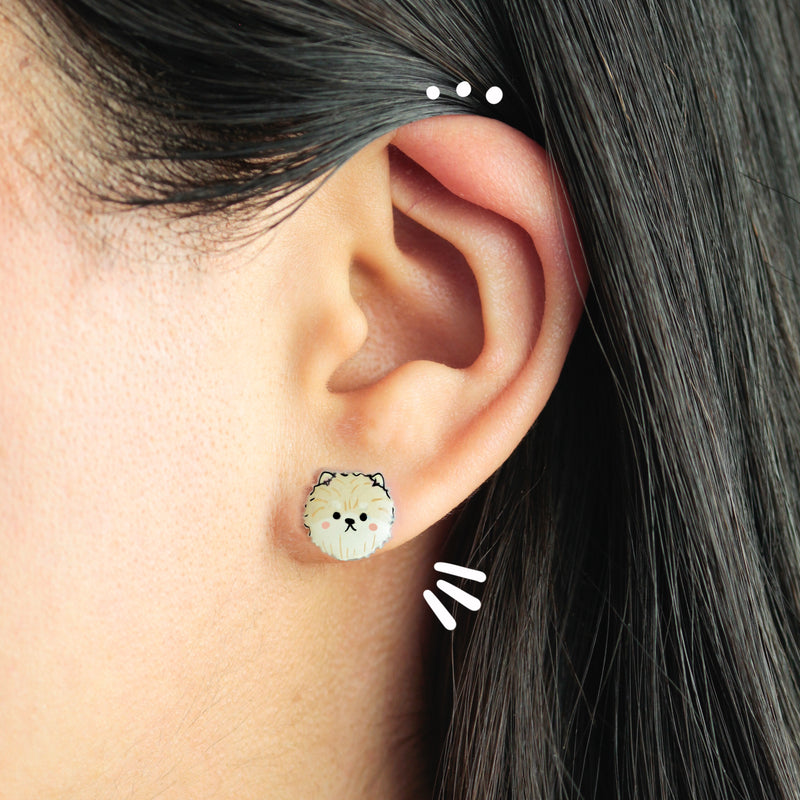 Aretes | Pomeranian