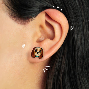 Aretes | Polos Opuestos